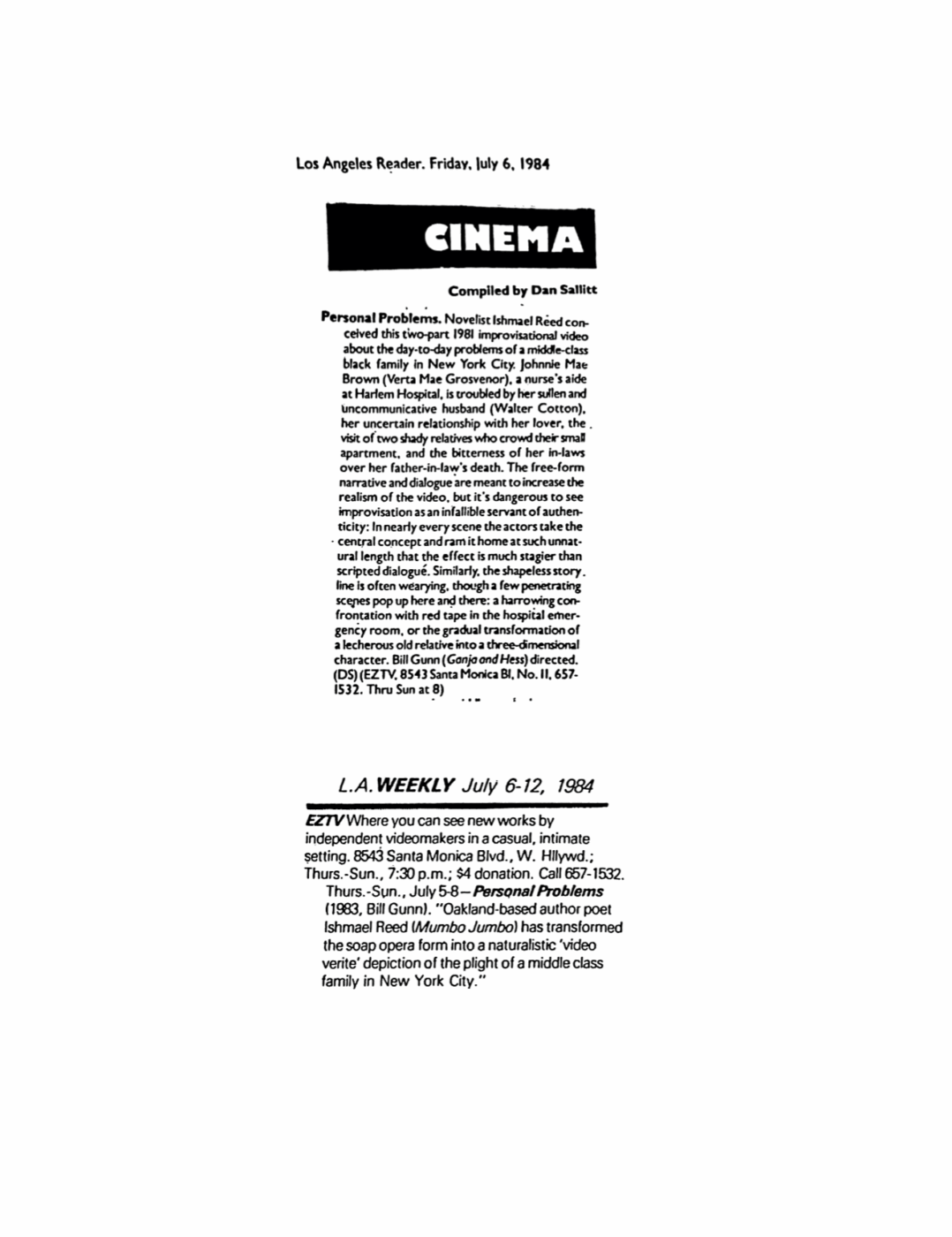 Critique de Dan Sallitt, de Personal Problems, The Los Angeles Reader, 6 juillet 1984 - EZTV